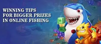vip79win