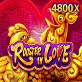 1xbet ranita